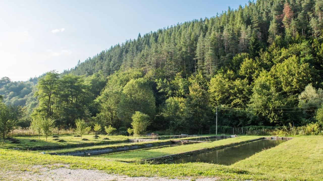 Къща За Гости Черна Река Ribarica Εξωτερικό φωτογραφία